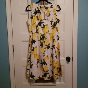 Boutique Lemon Swing Dress